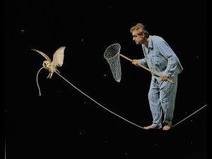 Teun-Hocks-Photo-works-11